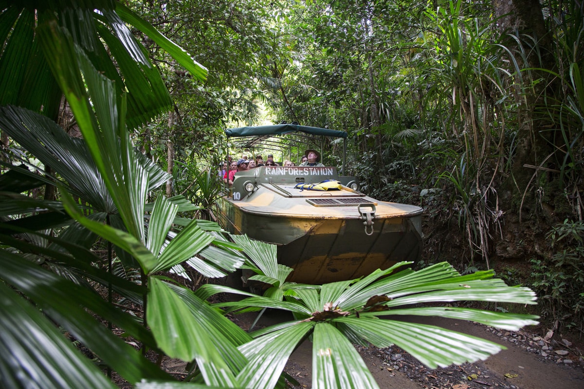 Full-Day Kuranda Tour with Skyrail Cableway, Scenic Railway, Rainforestation and Butterfly Sanctuary