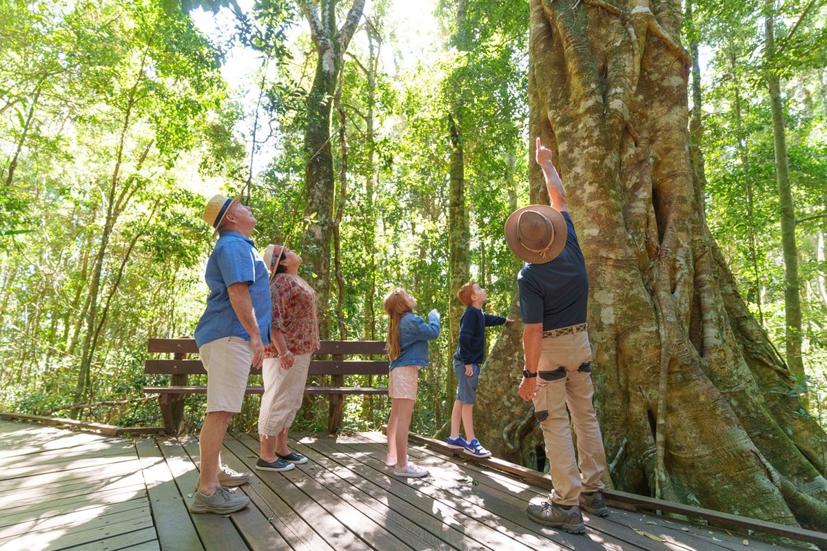Lamington National Park Tour: O'Reilly's Rainforest Retreat and Canungra Valley Vineyard