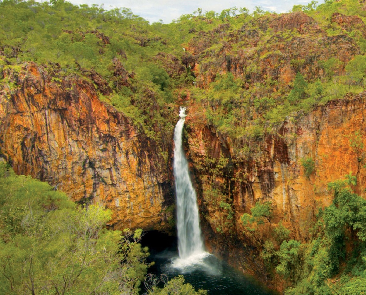 Litchfield National Park and Waterfalls Tour from Darwin