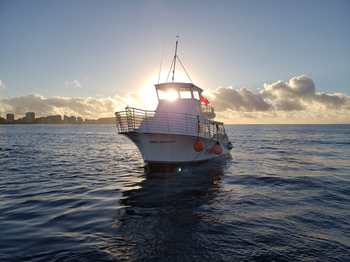 Oahu South Shore Cruise