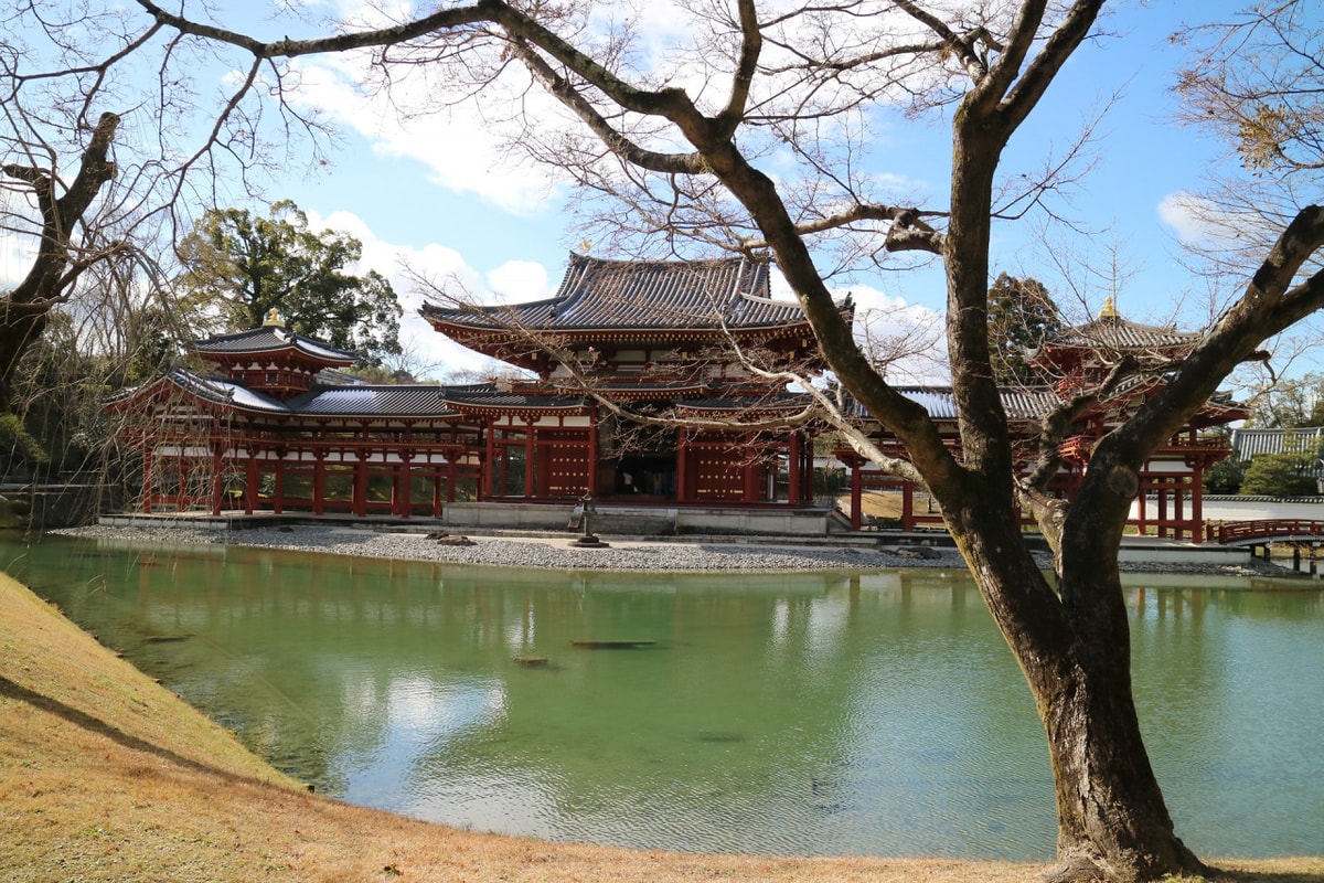 Uji Walking Tour and Tea Ceremony Experience from Kyoto