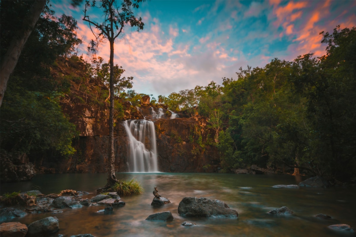 Cedar Creek Falls Tour