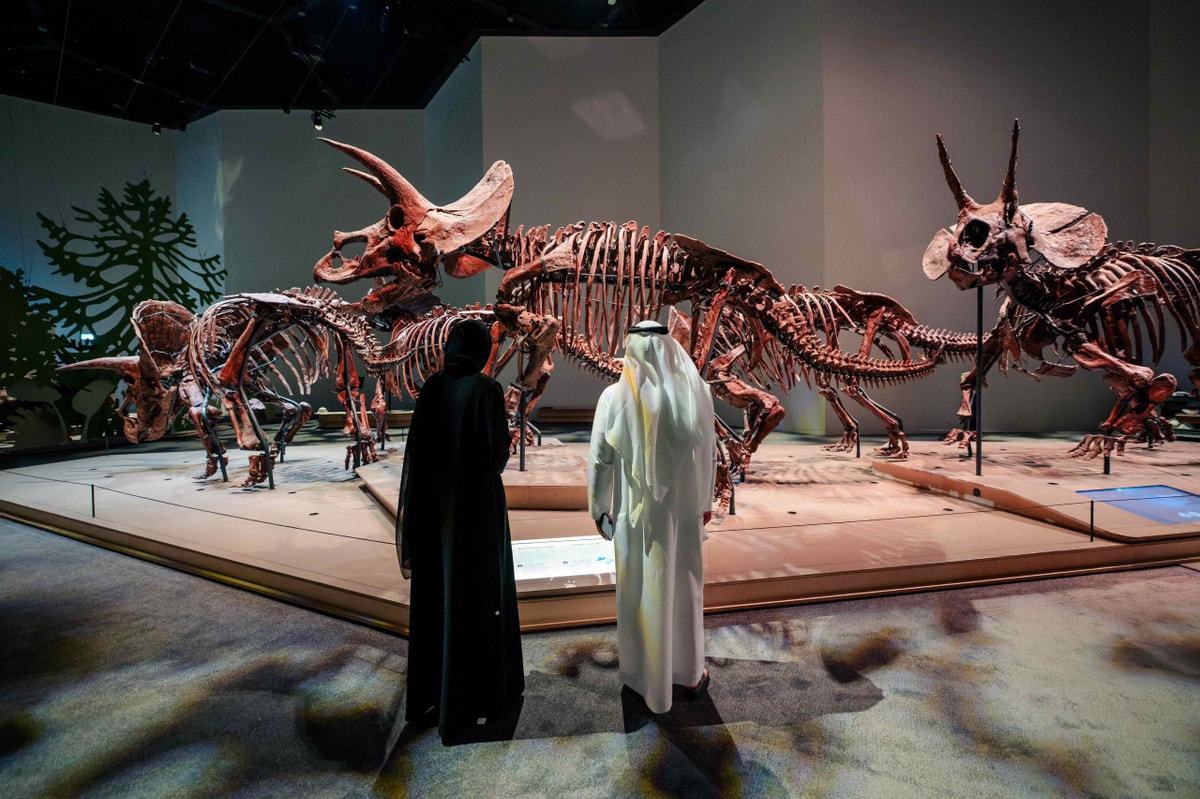 Natural History Museum Abu Dhabi Ticket