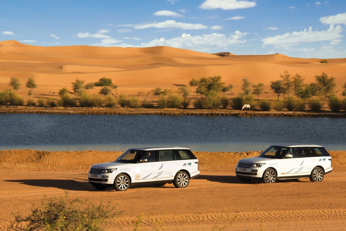 Dubai Desert Conservation Reserve Tour