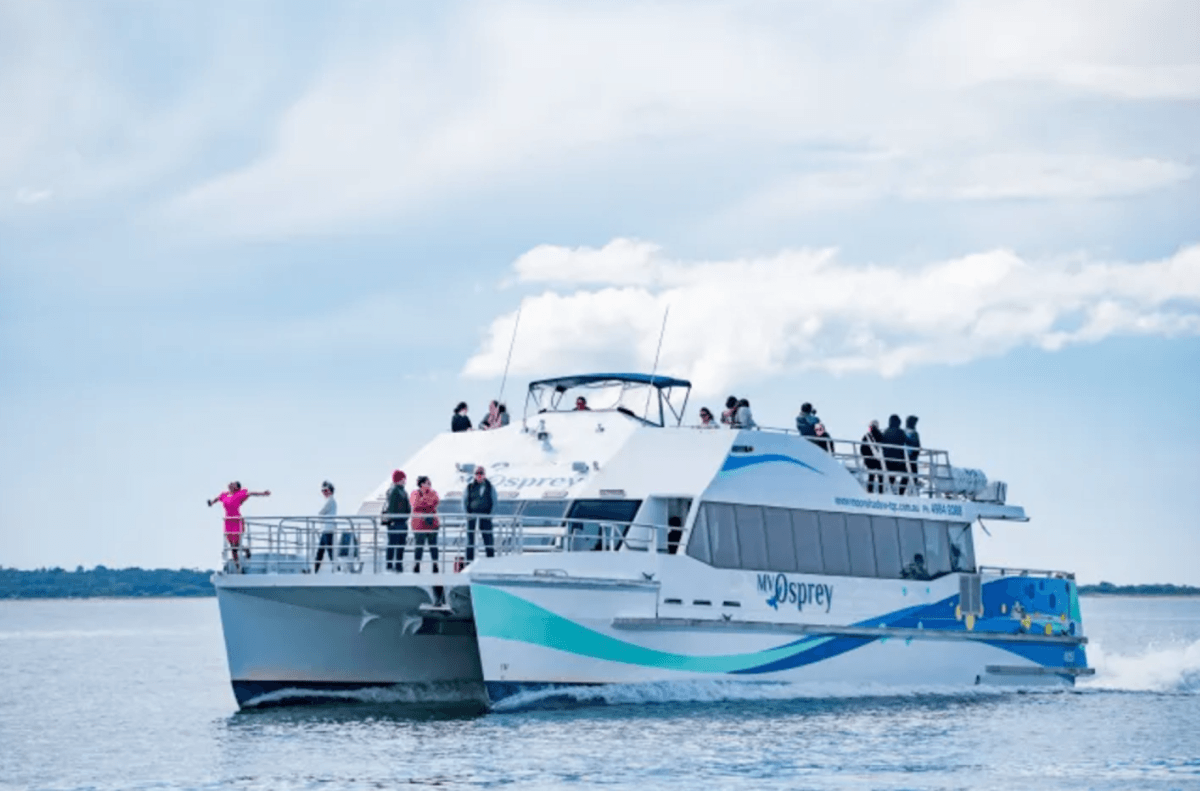 Port Stephens Dolphin Watch and Eco Adventure Cruise