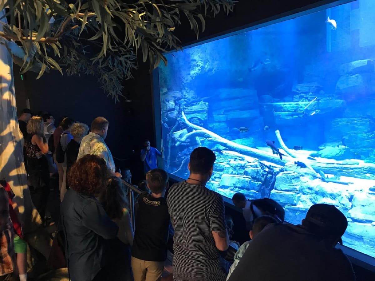 Cairns City Tours