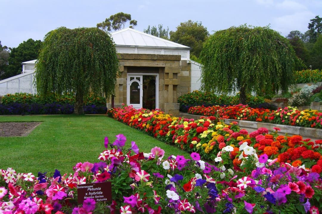Sullivan's Cove and Hobart City Tour