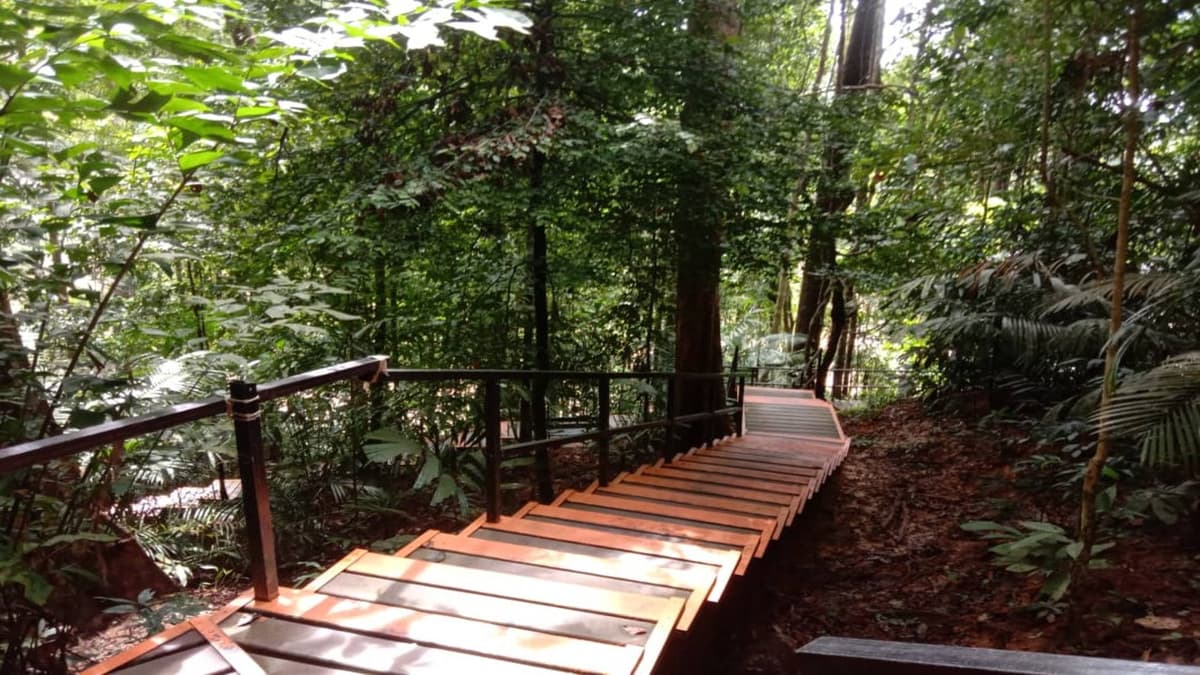 Taman Negara National Park Tour from Kuala Lumpur