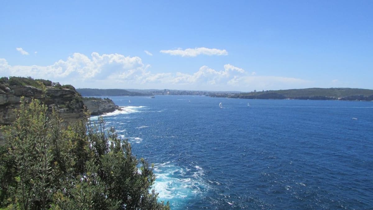 Watsons Bay Walking Tour