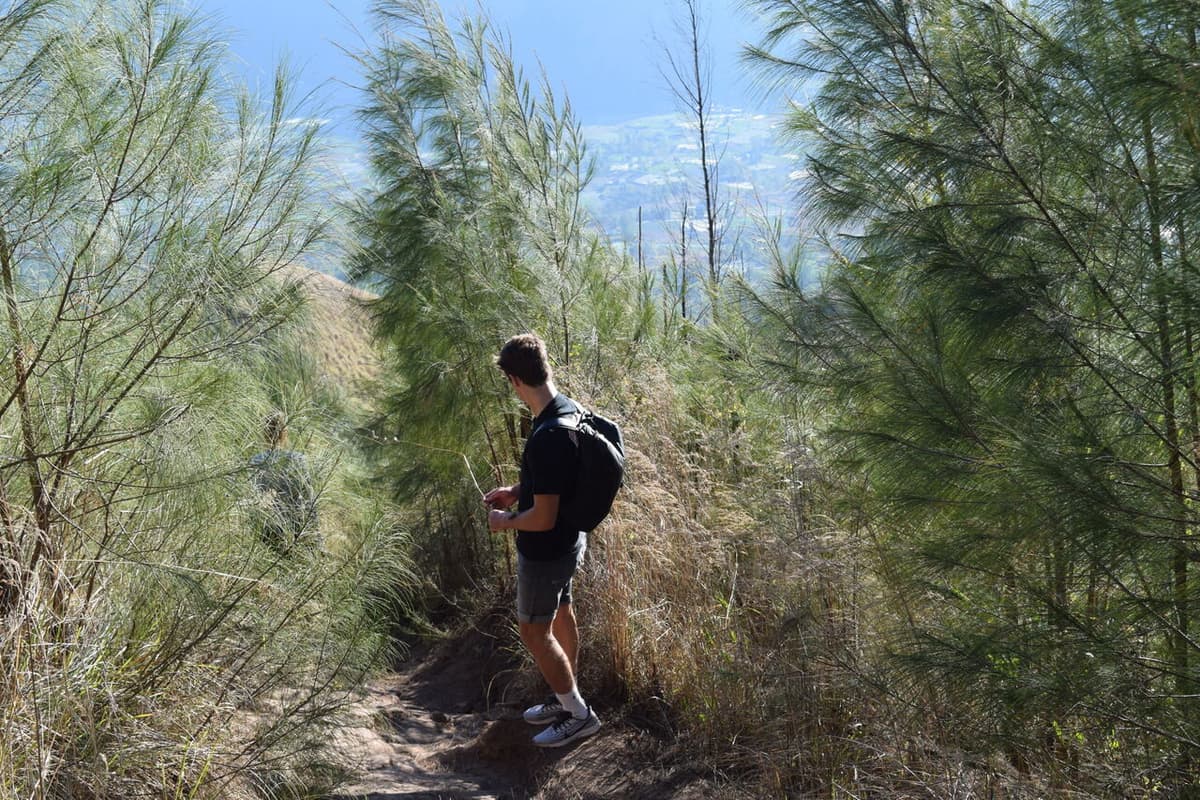 Mount Batur Sunrise Hike and Tibumana Waterfall Visit