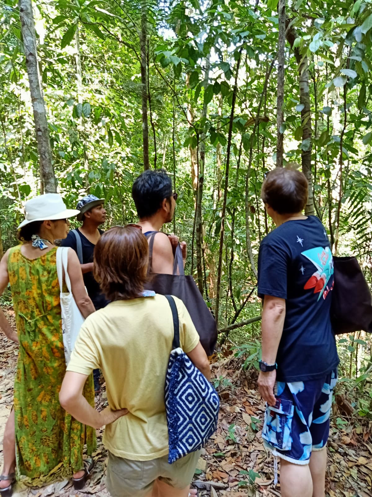 Langkawi Rainforest Trekking