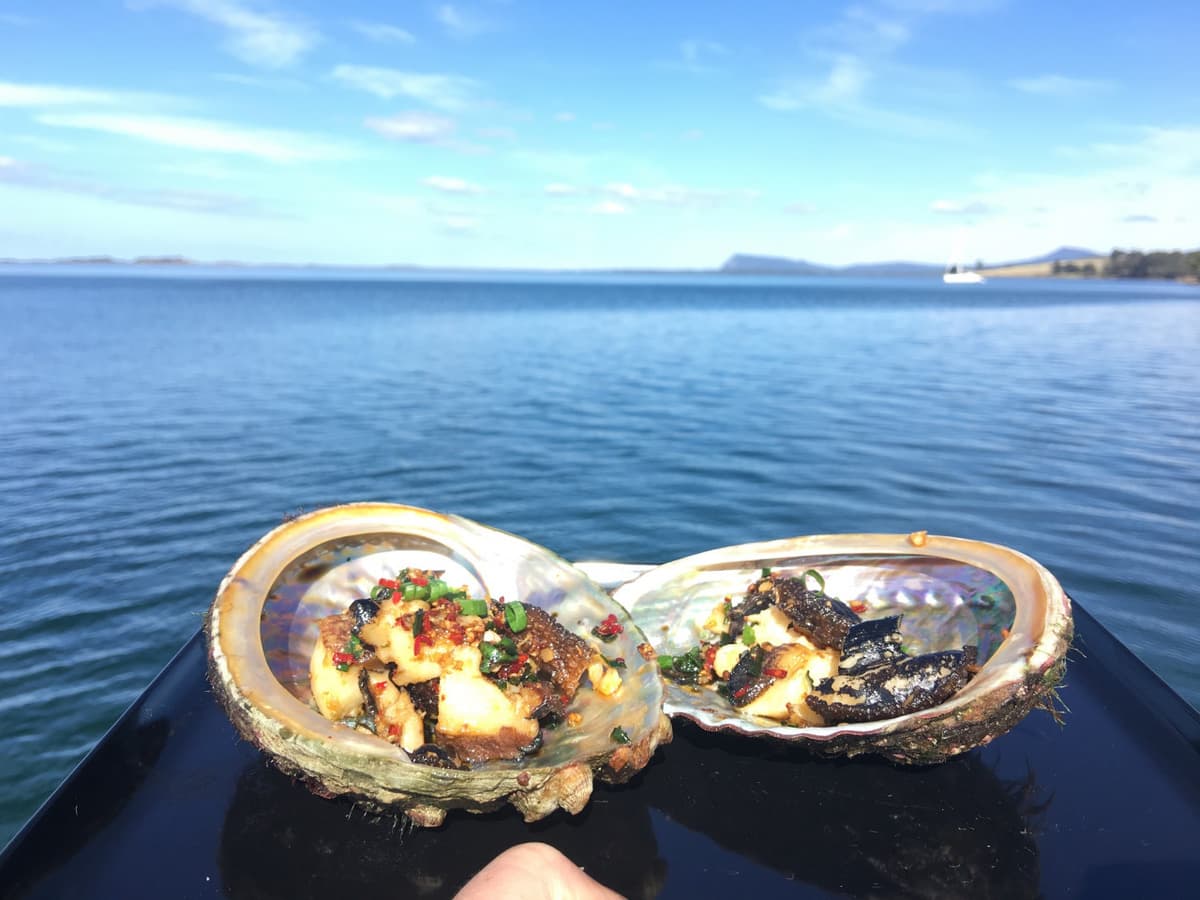 Bruny Island Seafood Lunch Cruise