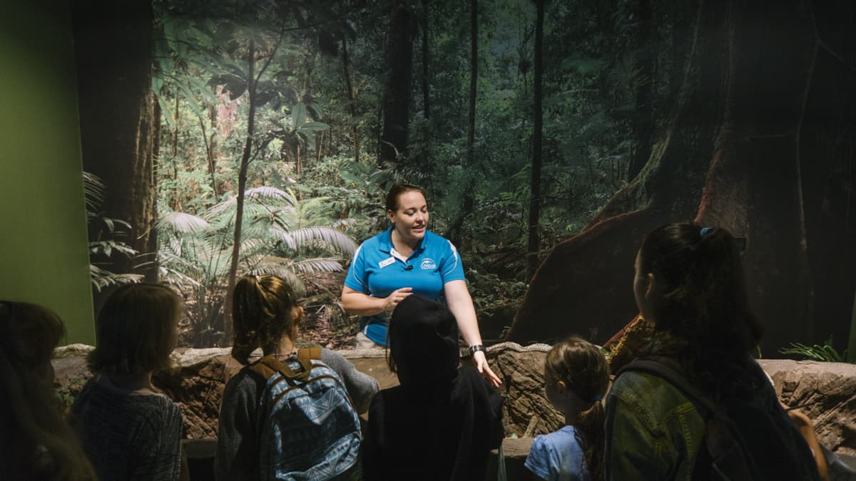 Cairns Aquarium Ticket