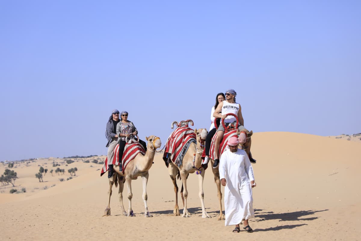 Half-Day Desert Safari, Camel Ride with Refreshments