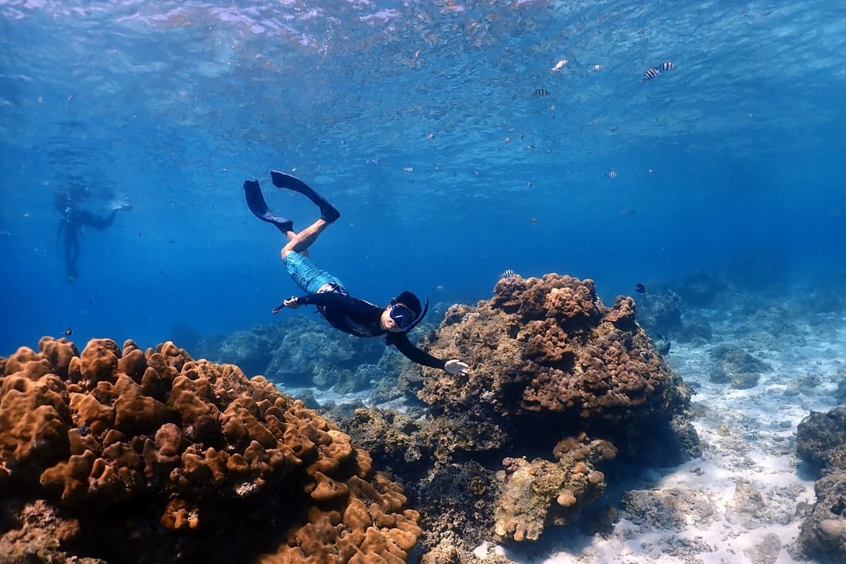 Raya Noi, Raya Yai, and Maiton Island Snorkelling Tour from Phuket