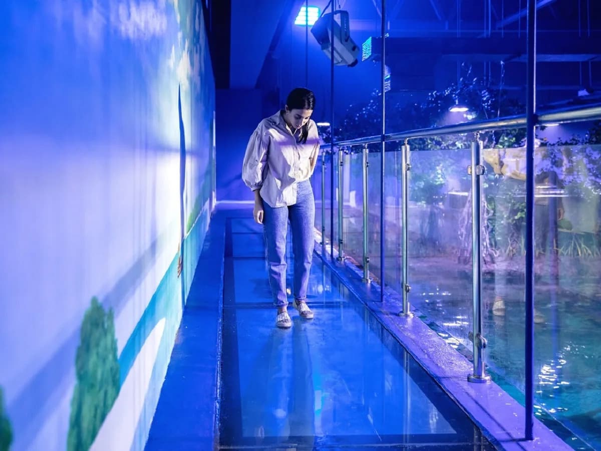 The National Aquarium Abu Dhabi Ticket
