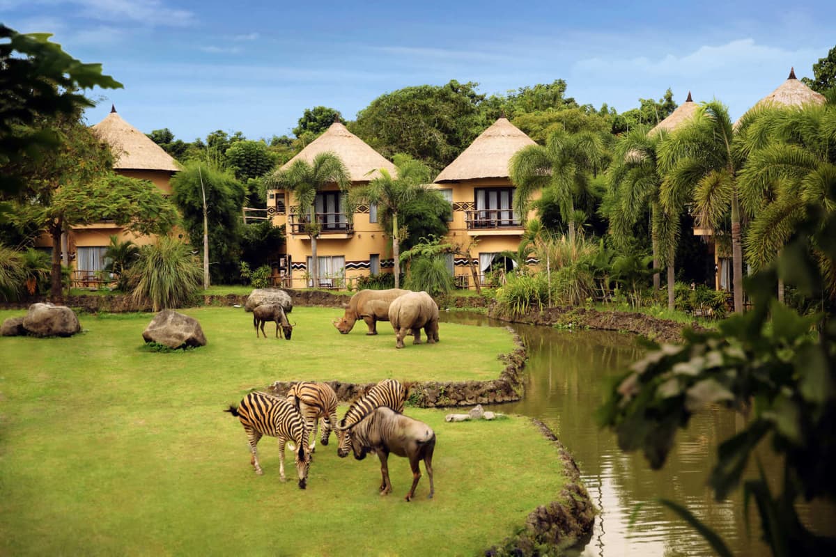 Bali Safari Park Ticket