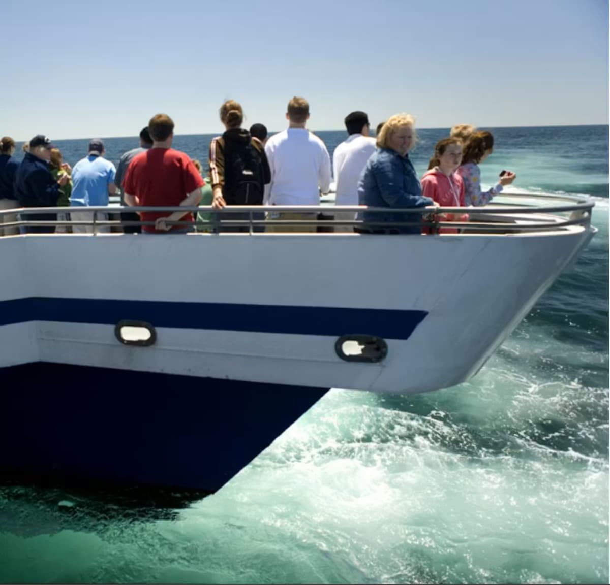 Boston Harbor Whale Watch Cruise