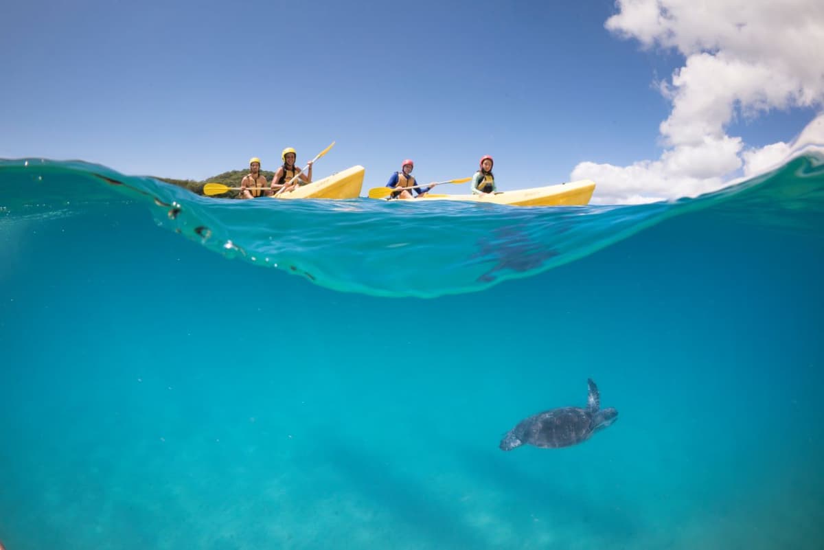 Byron Bay Kayaking Experience with Dolphins