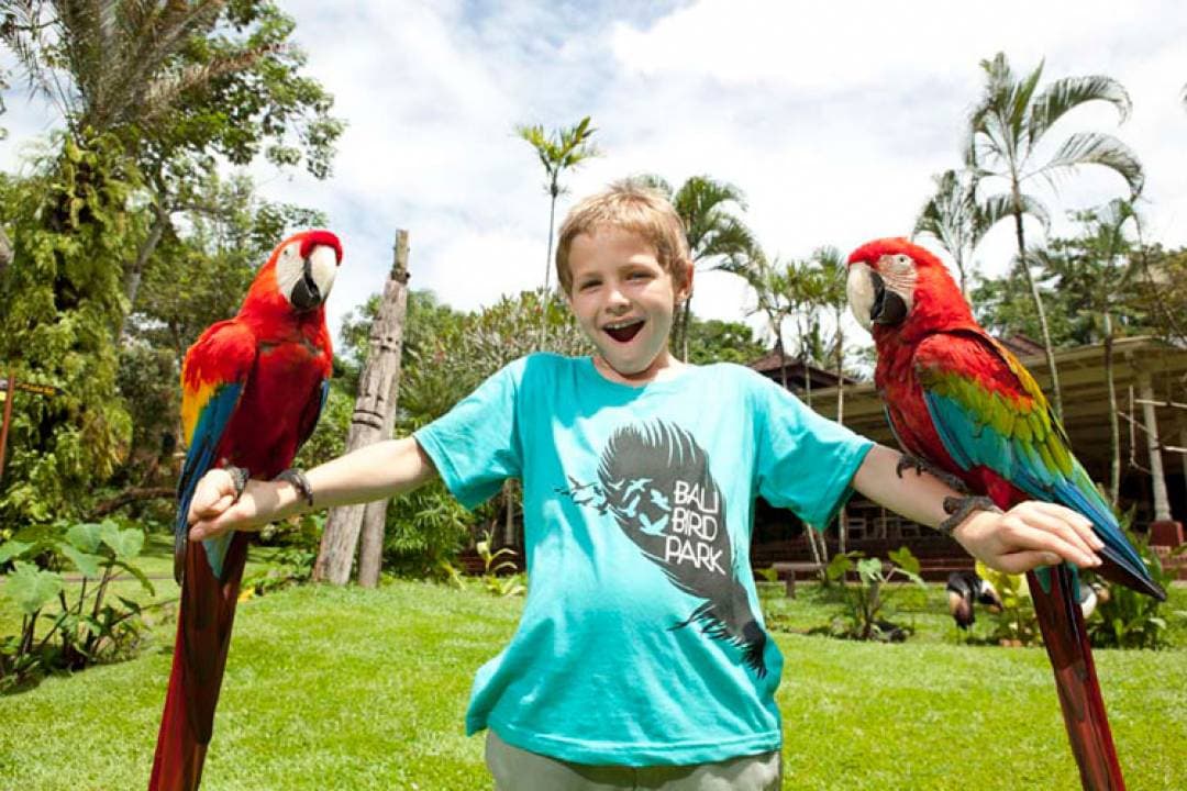Bali Bird Park Ticket