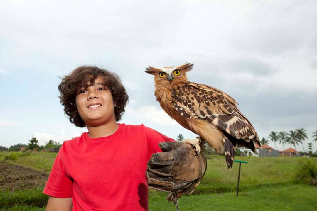 Bali Bird Park Ticket