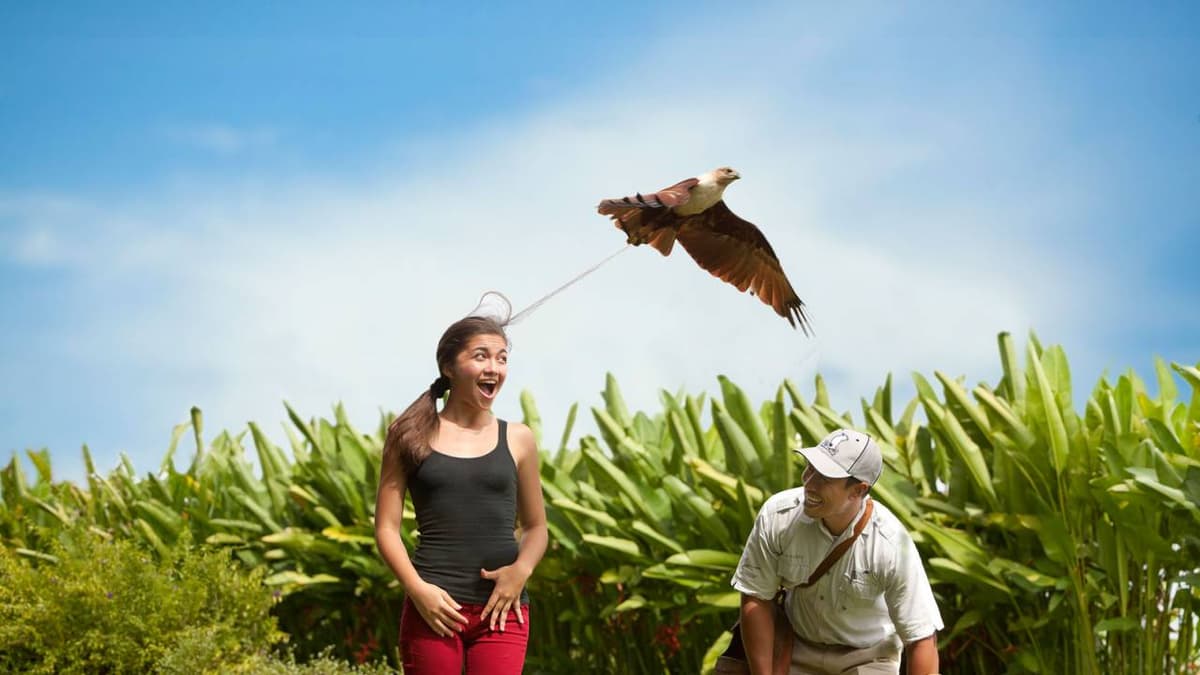 Bali Bird Park Ticket
