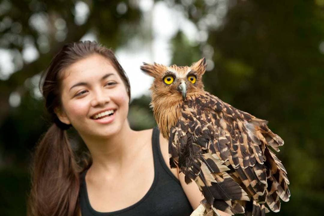 Bali Bird Park Ticket