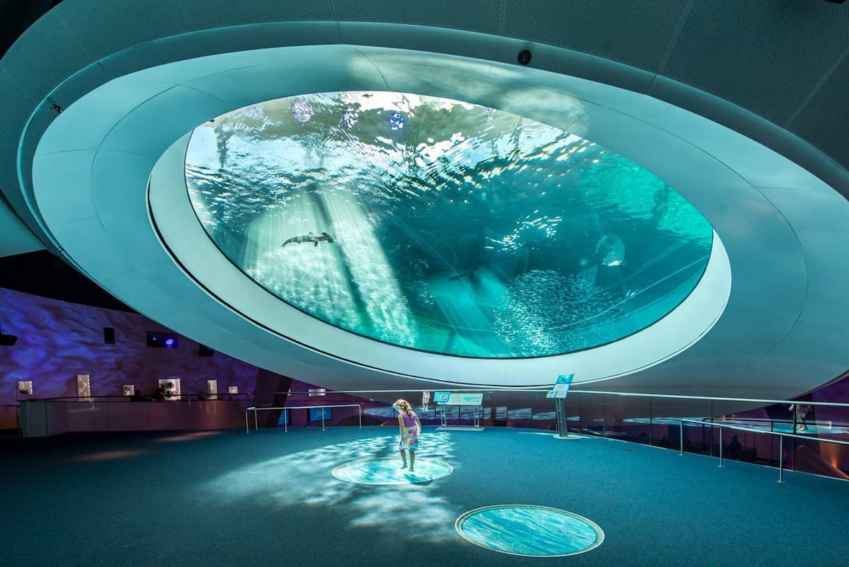 Phillip & Patricia Frost Museum of Science, Aquarium and Planetarium Ticket