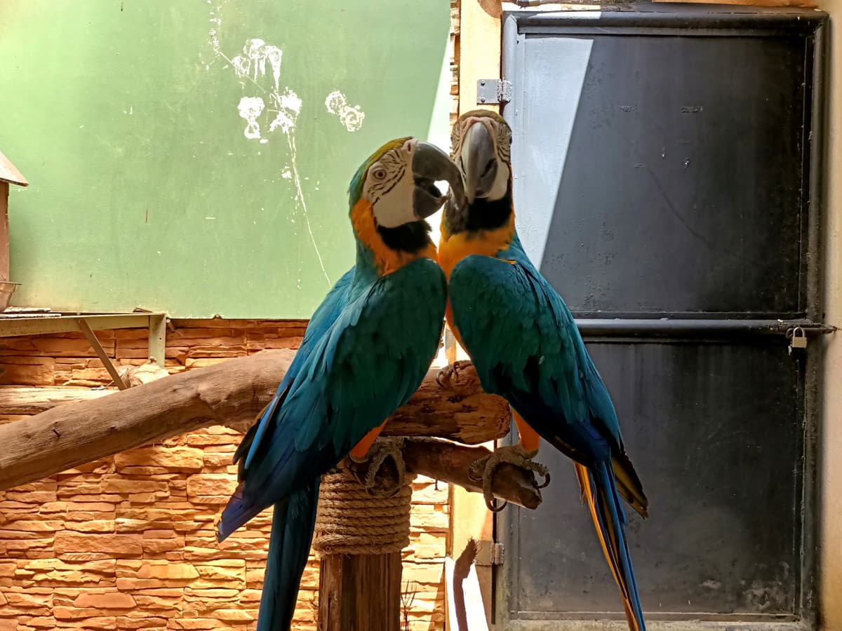 Langkawi Wildlife Park