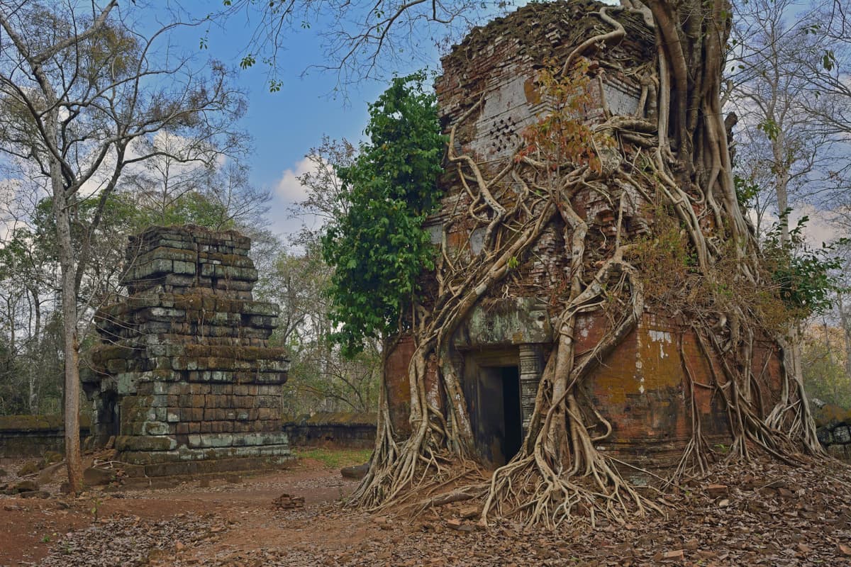 Beng Mealea and Koh Ker Temples Tour from Siem Reap