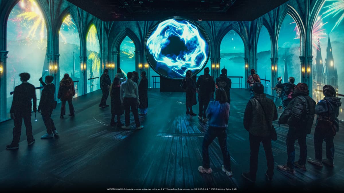 Harry Potter: Visions of Magic