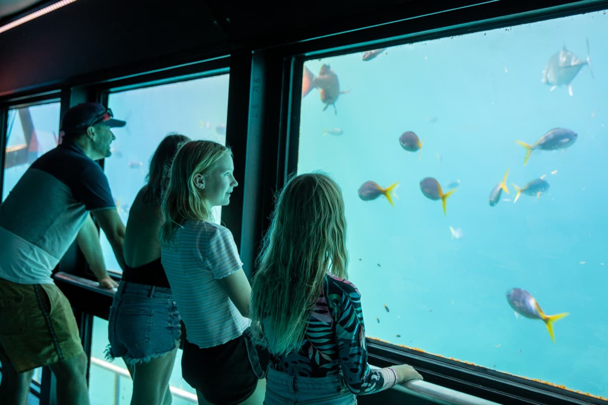 Reef Magic Pontoon Tour from Cairns