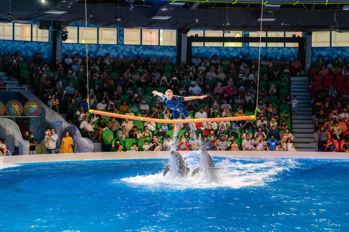 Dubai Dolphinarium Ticket