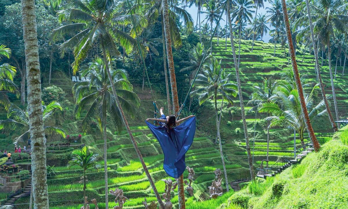 Alas Harum Bali: Swing, Skybike, and Zipline