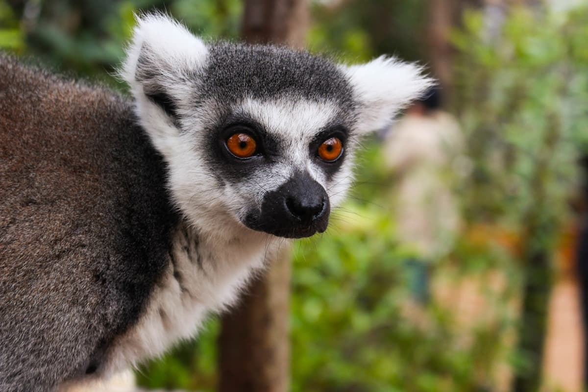 London Zoo