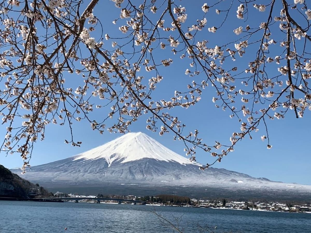 Mt Fuji, Oshino Hakkai and Gotemba Outlets 1-Day Bus Tour