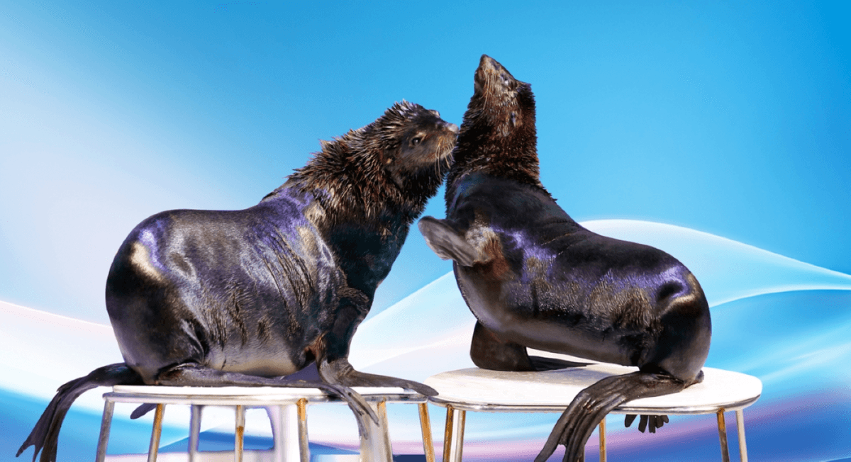 COMBO: Dubai Dolphinarium + Dubai Crocodile Park Tickets