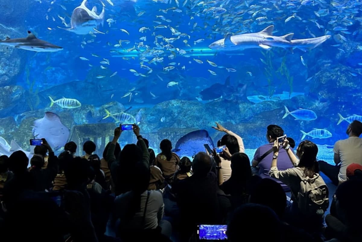 SEA LIFE COEX, Seoul Aquarium Ticket