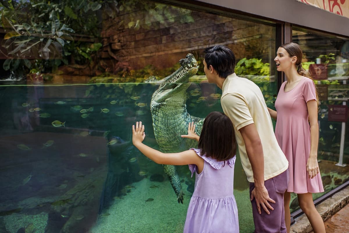 5-in-1 Day Pass: Night Safari + Singapore Zoo + Bird Paradise + River Wonders + Rainforest Asia