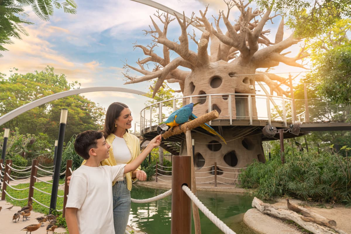Dubai Safari Park Ticket