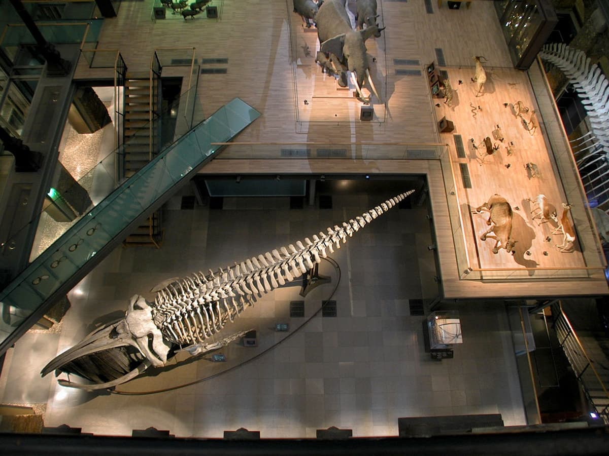 Grande Galerie de l'Évolution: Skip The Line