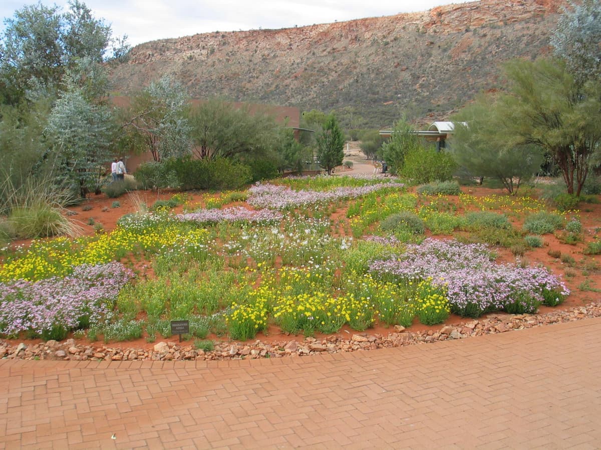 Alice Springs Desert Park