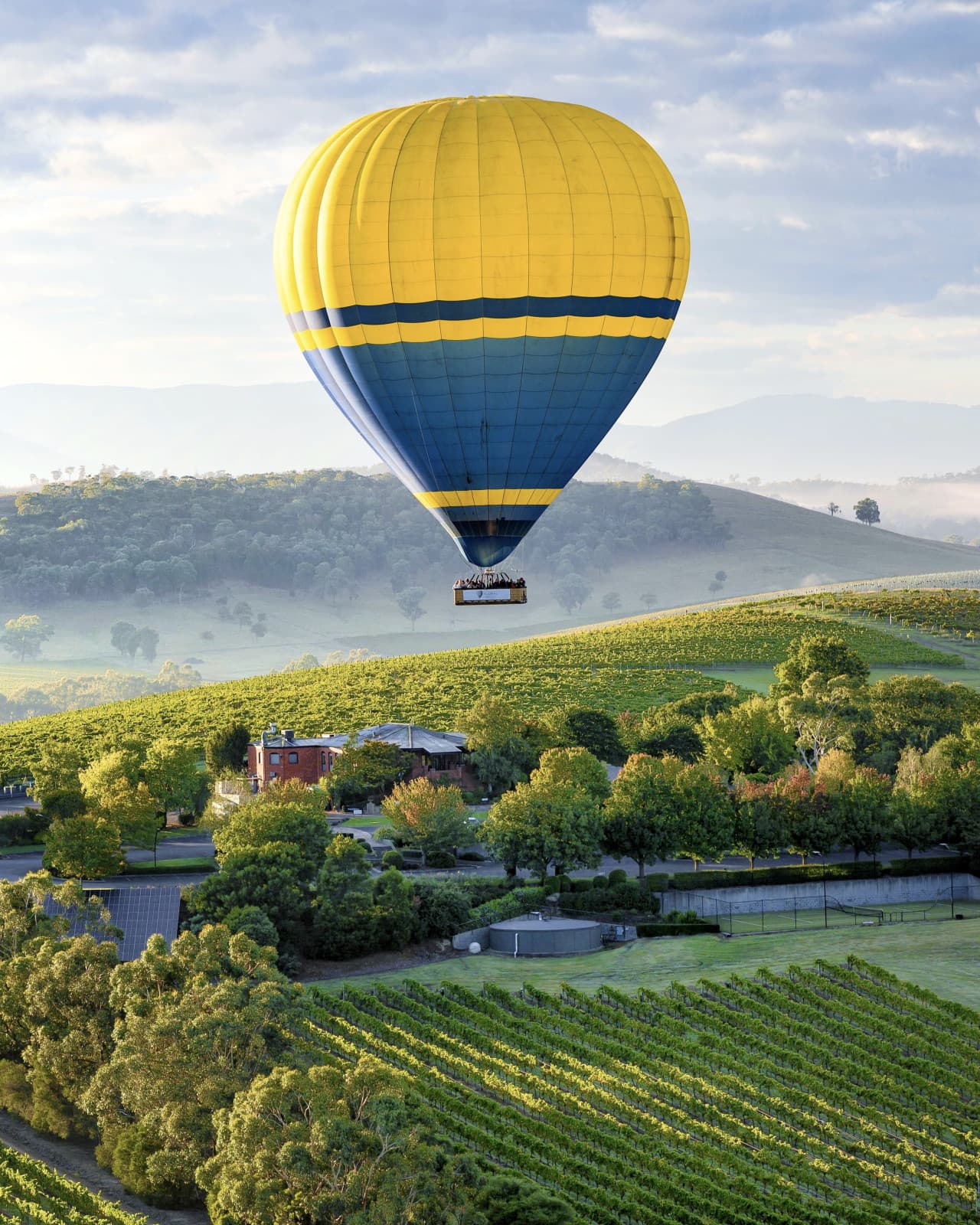Sunrise Hot Air Balloon Flight over Yarra Valley with Photos