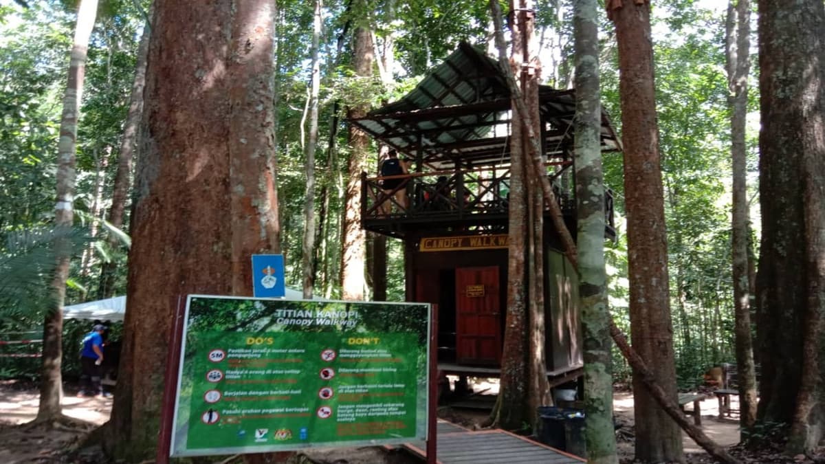 Taman Negara National Park Tour from Kuala Lumpur