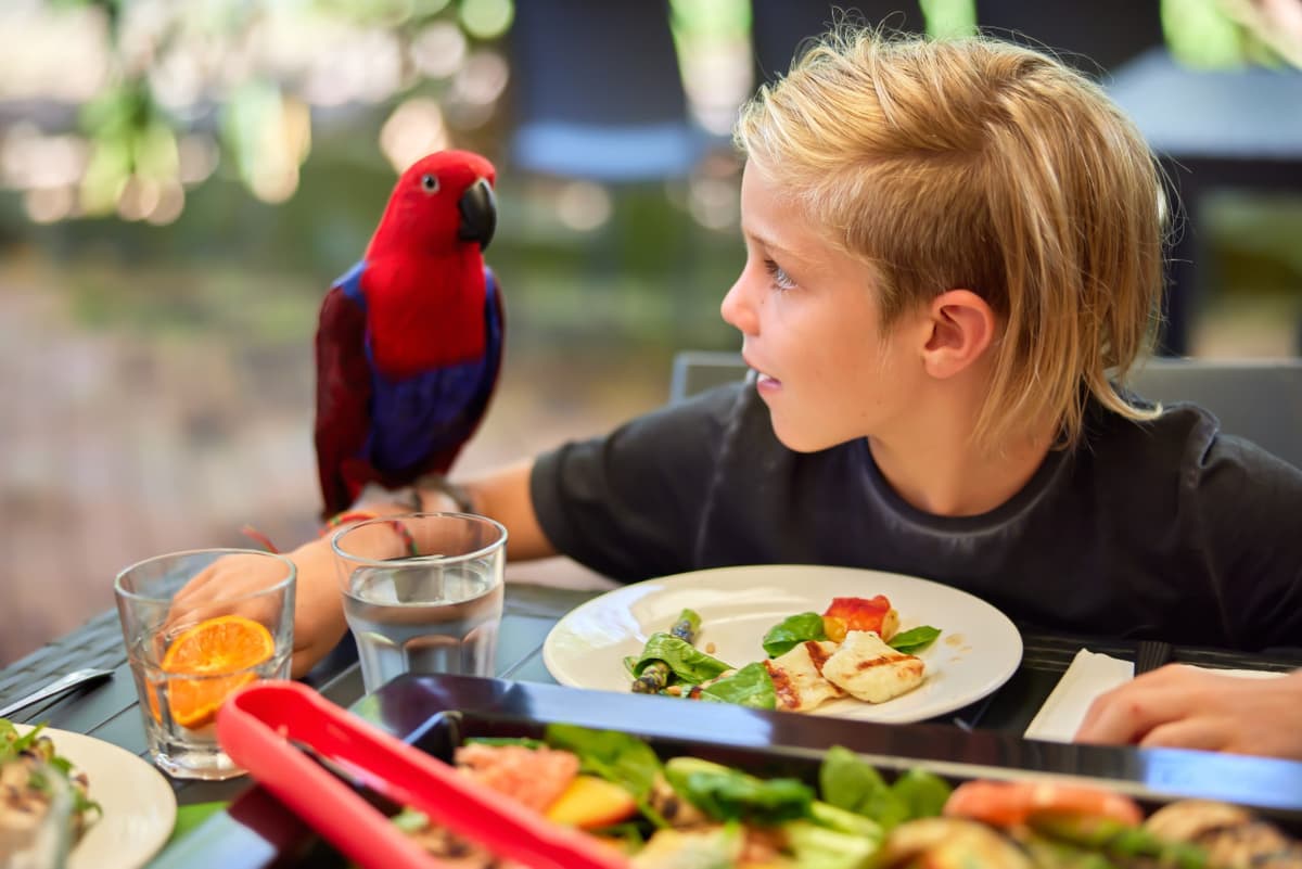 Wildlife Habitat Port Douglas Ticket
