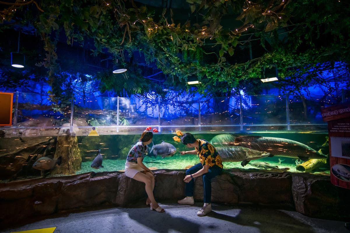 SEA LIFE Busan Aquarium Ticket