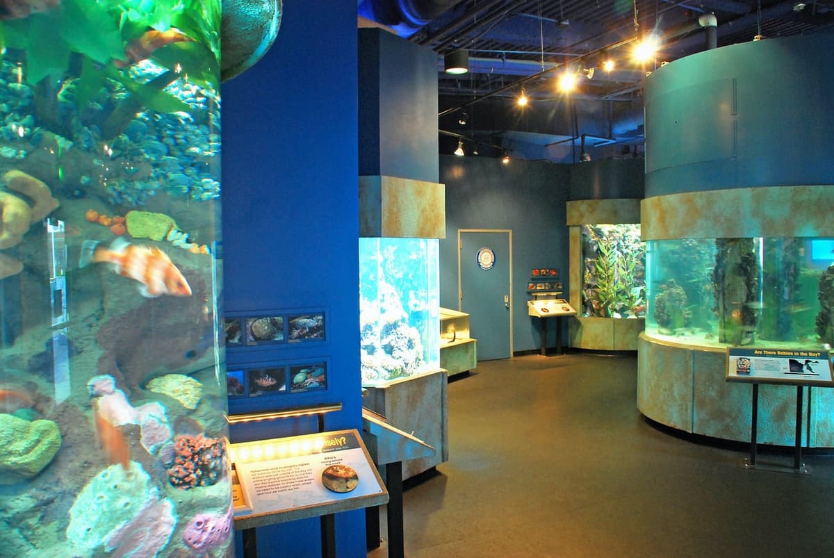 Aquarium of the Bay Ticket