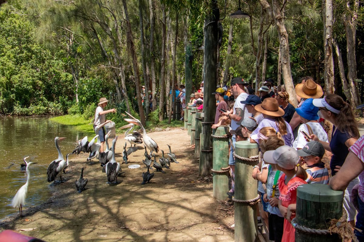 Currumbin Wildlife Sanctuary Ticket