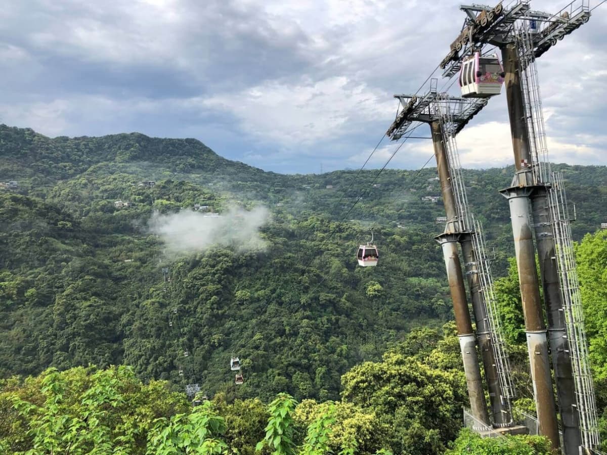 Pinglin Tea Culture and Maokong Full-Day Tour from Taipei