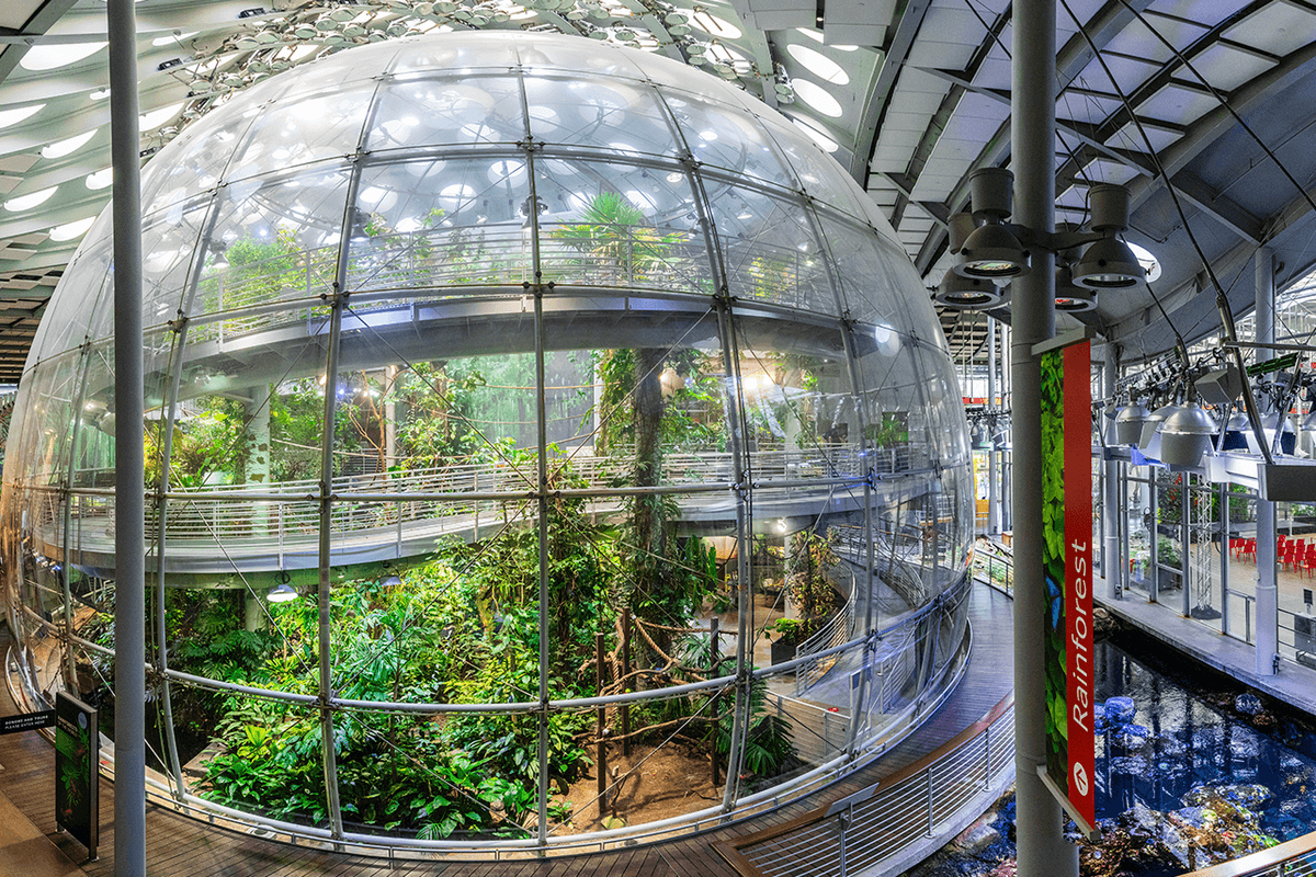 California Academy of Sciences Ticket
